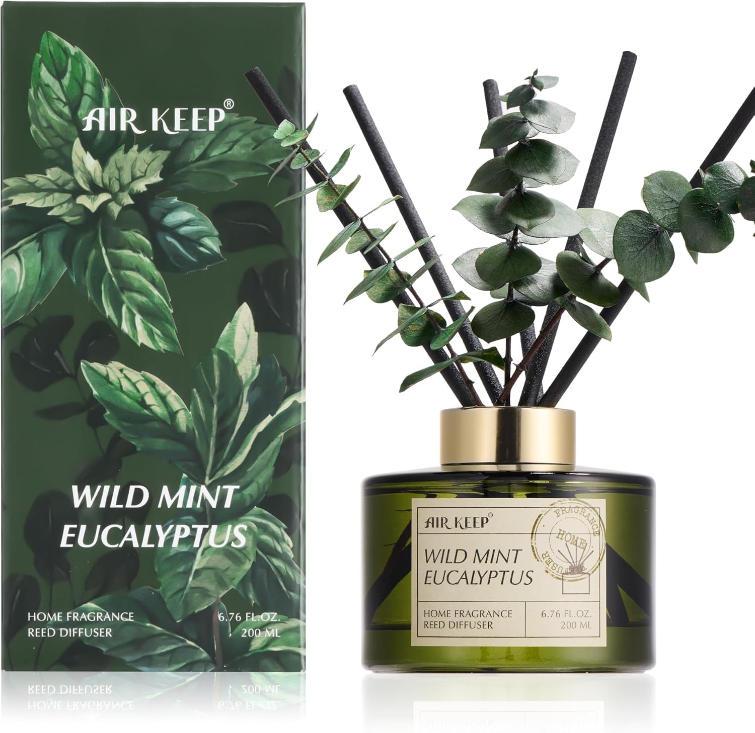 Reed Diffuser Set: 6.76oz Balsam Fir & More - Home Decor